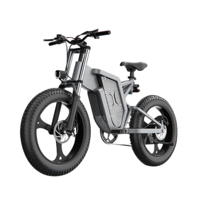 Bici elettrica per pneumatici grassi da 20 pollici con prezzo di fabbrica Ebike da 40-120 km con batteria nascosta